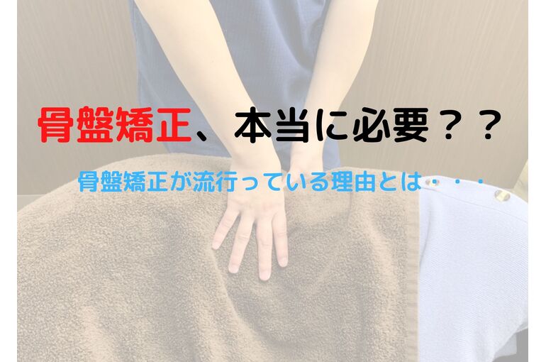 骨盤　画像